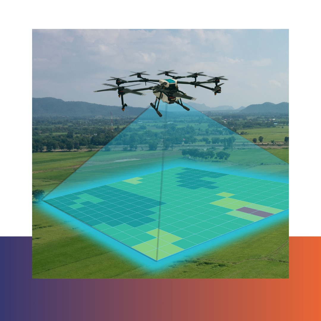 Survey & Mapping