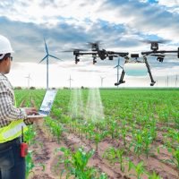 Technician farmer use wifi computer control agriculture drone fly to sprayed fertilizer on the corn fields